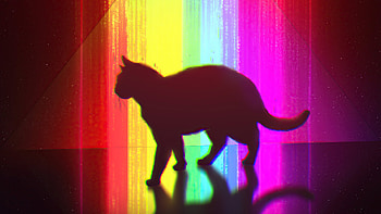 PsyCat, cat, artist, artwork, digital-art, artstation HD wallpaper