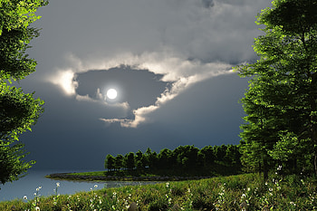 Nature, Trees, Night, Moon, Lake HD wallpaper