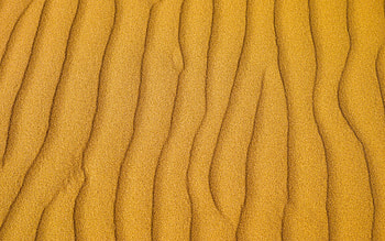 yellow sand waves, sand texture, sand waves texture, background with sand waves, sand background, desert texture HD wallpaper