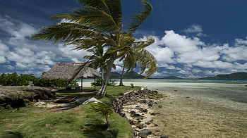 Nature, Beach, Shore, Bank, Tropics, Wind, Shed, Canopy HD wallpaper
