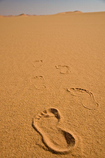 Nature, Beach, Sand, Horizon, Traces HD phone wallpaper