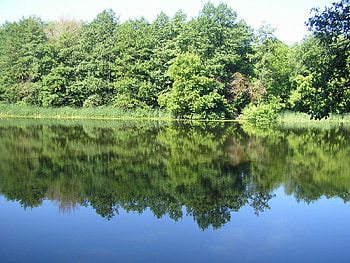 Landscape, Rivers, Trees HD wallpaper