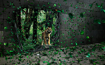 Animals, Art , Tigers HD wallpaper