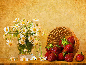 Still life, strawberries, vasey, daisiea, beautiful, fruits, nice, basket, delicate, pretty, flowers, lovely, harmony HD wallpaper