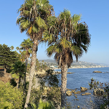 Laguna Beach 2022, Top attractions, Recommended experiences, Dining and hotels HD phone wallpaper