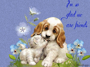 SO GLAD WE ARE FRIENDS, KITTEN, PUPPY, CREATION, ABSTRACT HD wallpaper