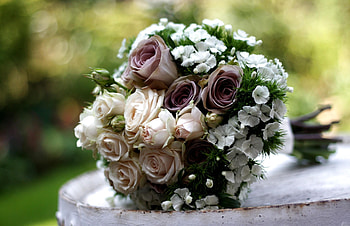 Flowers, Roses, Carnations, Bouquet, Composition, Handsomely, It's Beautiful HD wallpaper