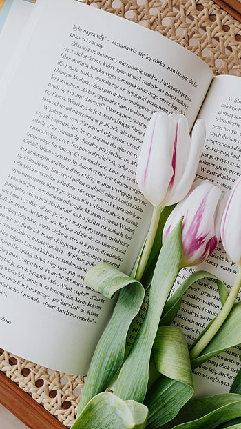 Flowers and book reading, Sony Xperia Z5 Premium, background, Serene literary moments HD phone wallpaper