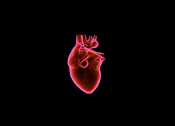 Art, 3D, Dark Background, Heart, Organ HD wallpaper