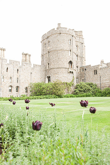 Windsor Castle, Spring landscape, British garden ideas, Captivating scenery HD phone wallpaper