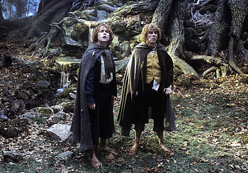 Merry and Pippin, Fangorn HD wallpaper