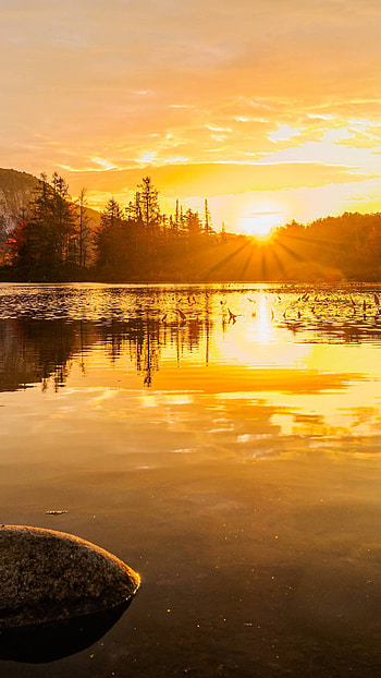 Groton state forest, Sony Xperia, backgrounds HD phone wallpaper
