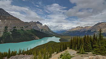 Nature, Rivers, Trees, Mountains, Fir, Spruce, Valley HD wallpaper