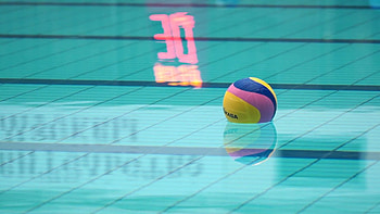 Polo , Sports enthusiasts, Pool game, Competitive spirit HD wallpaper
