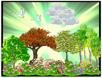 NATURE, TREE, ANIMALS, ABSTRACT HD wallpaper