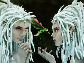Fantasy Elf, birb, elf, fantasy, wish HD wallpaper