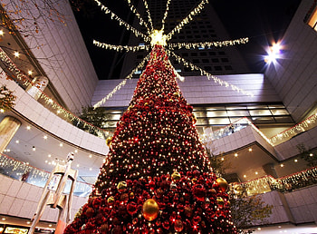 Holidays, Toys, Christmas, Holiday, Christmas Tree, Hall, Shopping Center, Mall HD wallpaper