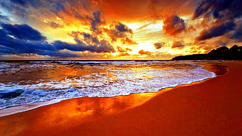 Tropical Beach, sea, horizon, tropical, orange, beach, yellow, clouds, nature, sky, sunset HD wallpaper