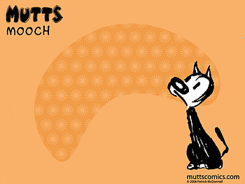 Mooch, mutts HD wallpaper