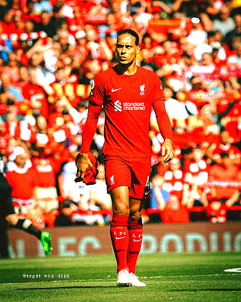 Virgil van dijk, defans, furbol HD phone wallpaper