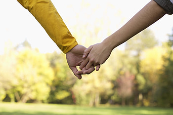 Animals, Love, Couple, Pair, Hands, Touching, Touch HD wallpaper