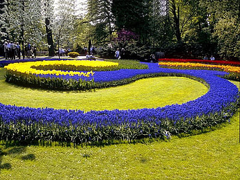 S Marks the Spot, blue, grass, flowers, yellow HD wallpaper