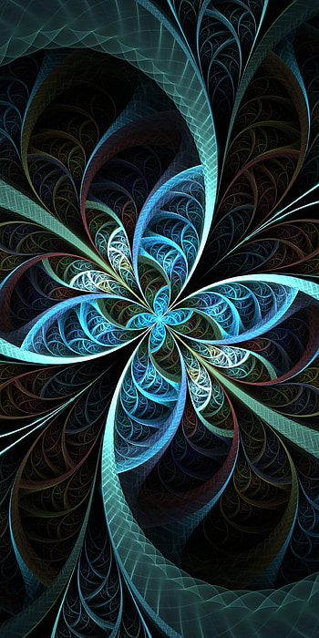flower, Abstract, fractal HD phone wallpaper