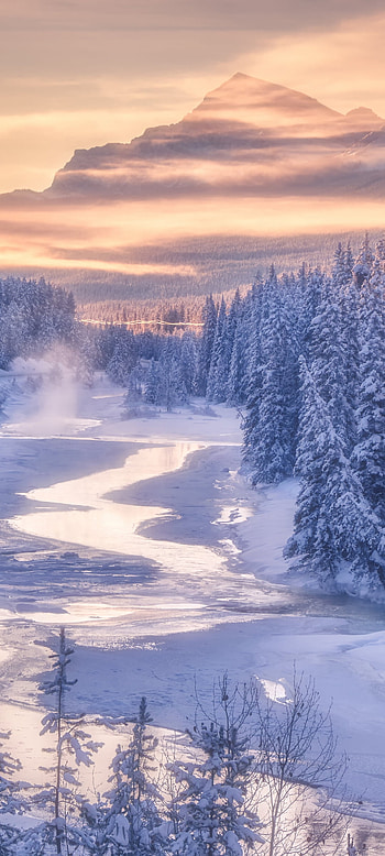 nature, winter HD phone wallpaper