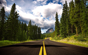Landscape, Trees, Roads HD wallpaper