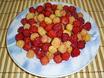 Fruits, Food, Raspberry, Berries HD wallpaper