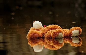 Water, Teddy Bear, Miscellanea, Miscellaneous, Toy, Puddle HD wallpaper