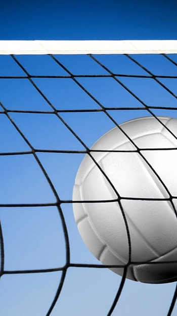 Volleyball, Nest, Volleyball Sports HD phone wallpaper