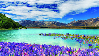 U, backgrounds, New Zealand , Nature's canvas HD wallpaper