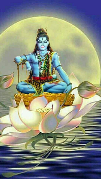 Prosenjit Shiva, Lotus, Background HD phone wallpaper