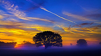 Tree of Life, sky, sunset, mist, landscape, clouds, colors HD wallpaper