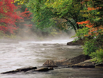 River and fog, nature, rivers HD wallpaper