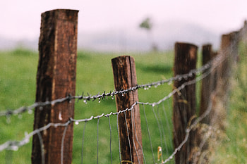 Drops, Miscellanea, Miscellaneous, Fence, Barbed Wire HD wallpaper