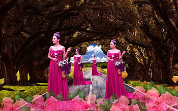 Beautiful girl, art, trees, road, flowers, woman HD wallpaper