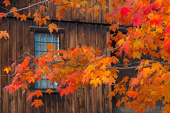 Autumn barn, Kent McFarland, Autumn tree branch, Autumn cozy HD wallpaper
