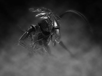 Alien, predator, creature, digital art, dark HD wallpaper