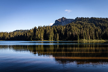 Nature, Trees, Rocks, Lake, Reflection, Fir, Spruce HD wallpaper
