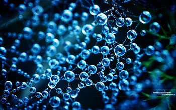 bubbles, abstract, graphy HD wallpaper