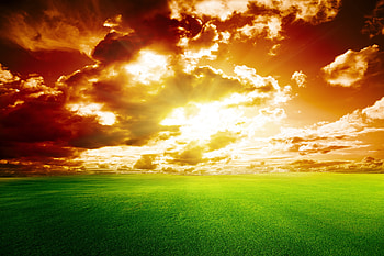 Nature, Sunset, Sky, Clouds, Horizon, Field HD wallpaper