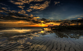 Nature, Sunset, Beach, Shallow, Shrubs, Stranded HD wallpaper