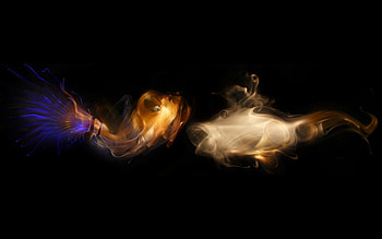 Abstract, Smoke, Form, Fish, Clot HD wallpaper