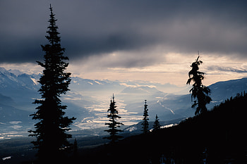 Nature, Trees, Mountains, Fir, Spruce, Snow Covered, Snowbound, Dahl, Distance HD wallpaper