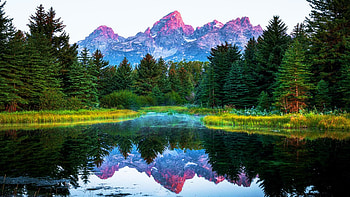 Beneath the Tetons, reflection, peaks, trees, sky, lake, wyoming HD wallpaper