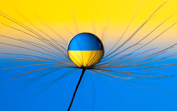 Jewel of Ukraine, blue, Ukraine, flag, yellow HD wallpaper