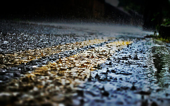Rain, street, nature, wp HD wallpaper
