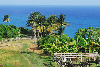 Island spirit in Barbados, Serene landscapes, Tranquil environment, Captivating scenes HD wallpaper